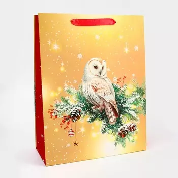 Пакет подарочный новогодний ламинированный