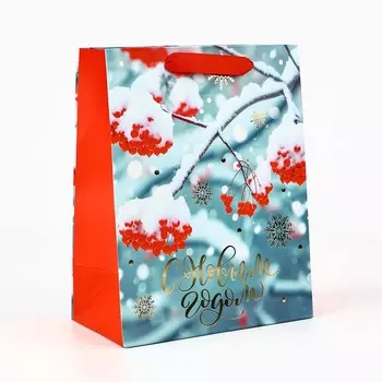 Пакет подарочный новогодний ламинированный