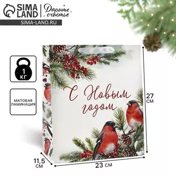 Пакет подарочный новогодний ламинированный
