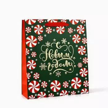 Пакет подарочный новогодний ламинированный