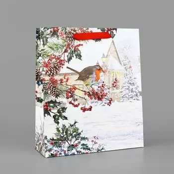 Пакет подарочный новогодний ламинированный