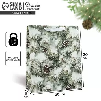 Пакет подарочный новогодний ламинированный