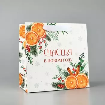 Пакет подарочный новогодний ламинированный квадратный