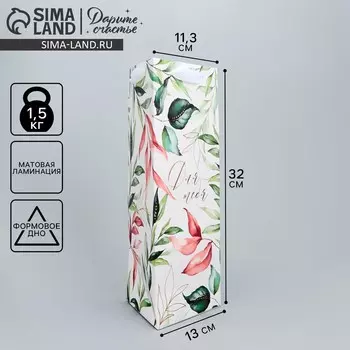 Пакет подарочный под бутылку, упаковка,