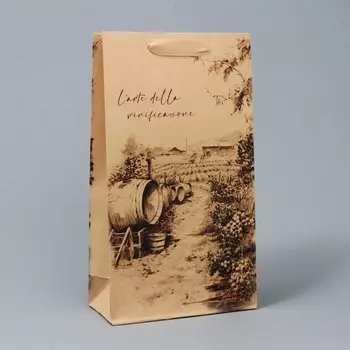 Пакет подарочный под две бутылки, упаковка, winery, 35 х 20 х 9 см