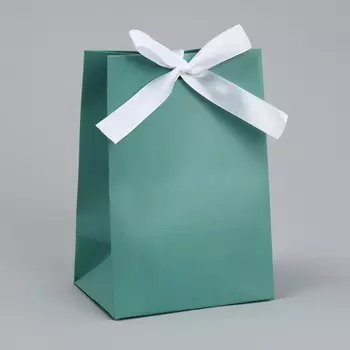 Пакет подарочный с лентой, упаковка,