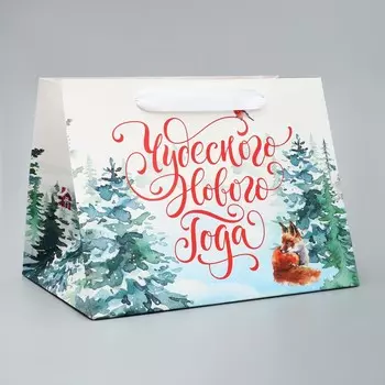 Пакет подарочный новогодний с широким дном