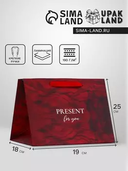 Пакет подарочный с широким дном, present, 251918 см