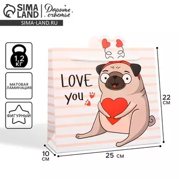 Пакет подарочный, упаковка,