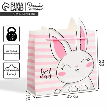 Пакет подарочный, упаковка,