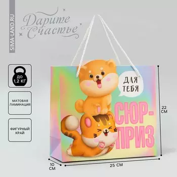 Пакет подарочный, упаковка,