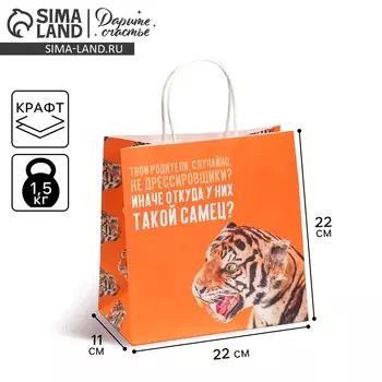 Пакет подарочный, упаковка,