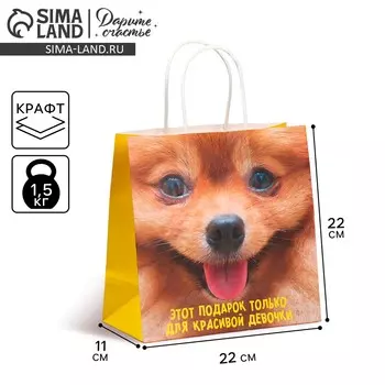 Пакет подарочный, упаковка,