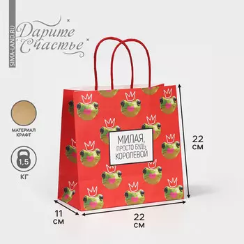 Пакет подарочный, упаковка,