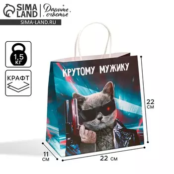 Пакет подарочный, упаковка,