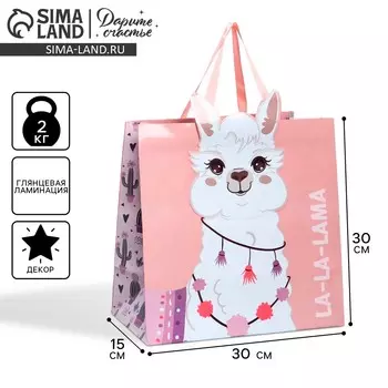 Пакет подарочный, упаковка,