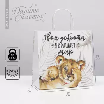 Пакет подарочный, упаковка,