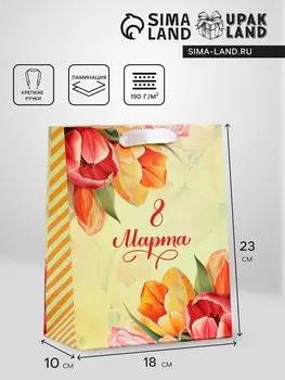 Пакет подарочный вертикальный