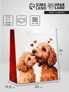 Пакет подарочный вертикальный