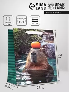 Пакет подарочный вертикальный