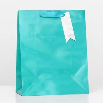 Пакет подарочный, зеленый, 26 х 32 х 12 см