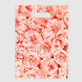 Пакет полиэтиленовый с вырубной ручкой