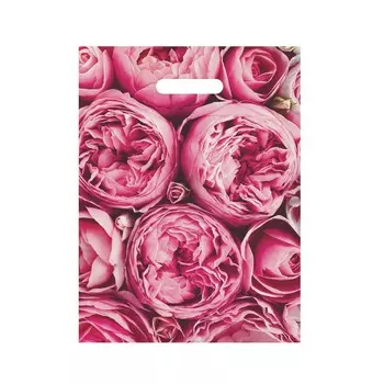 Пакет полиэтиленовый с вырубной ручкой