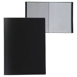 Папка с 60 вкладышами а4, 500 мкм, calligrata, текстура