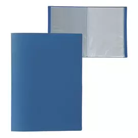 Папка с 60 вкладышами а4, 500 мкм, calligrata, текстура