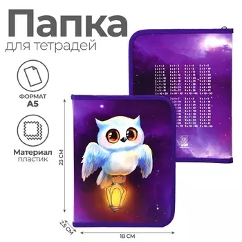 Папка д/тетрадей а5 молния вокруг пластик пм-а5-04 artfox study дев