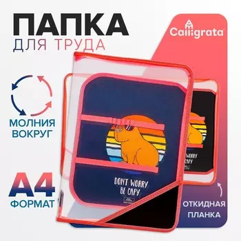 Папка д/труда а4 молния вокруг/откидная планка пластик птр-1 calligrata дев