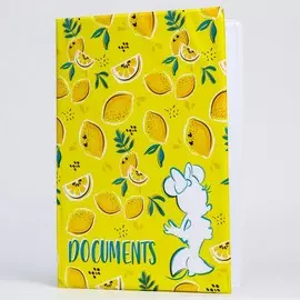 Папка для документов