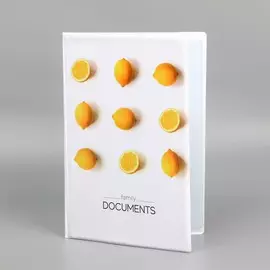Папка для семейных документов docs, 8 файлов а4