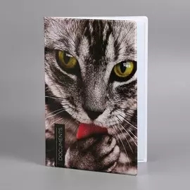 Папка для документов docs, 8 файлов а4