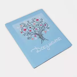 Папка для семейных документов а4, 4 комплекта, цвет голубой