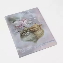 Папка для документов, 4 комплекта, цвет розовый