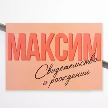 Папка для свидетельства о рождении