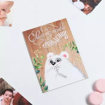 Папка для свидетельства о рождении