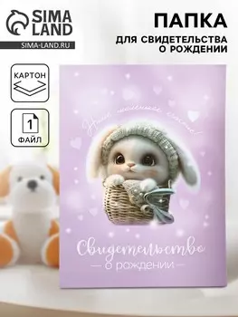 Папка для свидетельства о рождении
