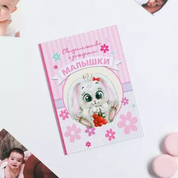 Папка для свидетельства о рождении малышки