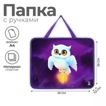 Папка для тетрадей а4 на молнии пластик 75мм 330 х 260 пм-а4-26 дев