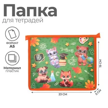 Папка для тетрадей а5, 230 х 190 х 50 мм, молния сверху, пластиковая, calligrata