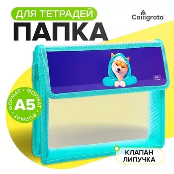 Папка для тетрадей, а5, пластиковая, 23195 см