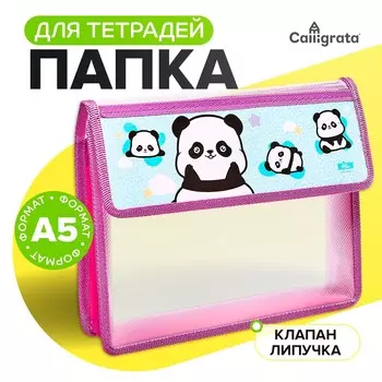 Папка для тетрадей, а5, пластиковая, 23195 см