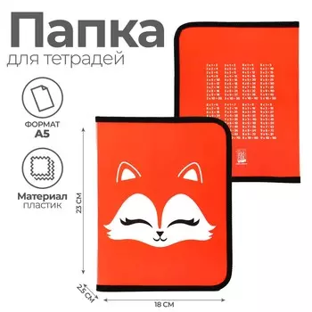 Папка для тетрадей а5 на молнии вокруг пластик пм-а5-04