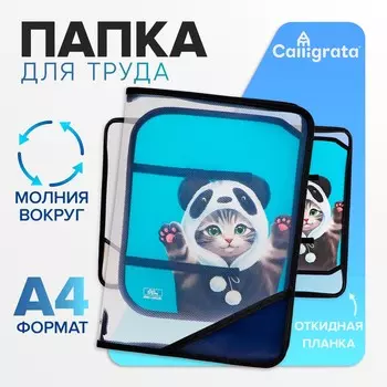 Папка для труда а4, 325 х 230 х 25 мм, молния вокруг, откидная планка, пластиковая, птр-1, calligrata