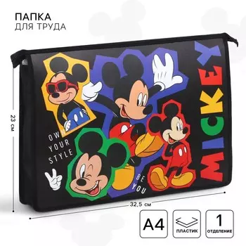 Папка для тетрадей, а4, на молнии,