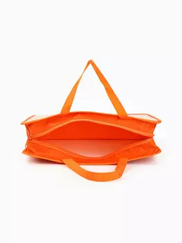 Папка для труда, а4, пластиковая, 33267.5 см, буки бяки