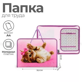 Папка для труда, а4, пластиковая, 32.5232.5 см