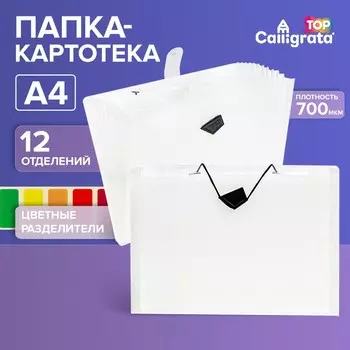 Папка-картотека а4, calligrata top deluxe, 12 отделений, 700 мкм, на резинке, белая с цветными разделителями